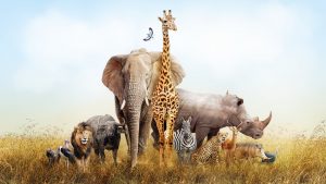Illustration de l'article : [Insolite ?] Devenir Formateur animalier
