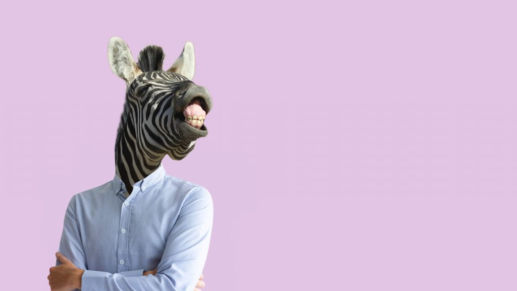 Illustration de l'article : [Insolite ?] Devenir Formateur animalier