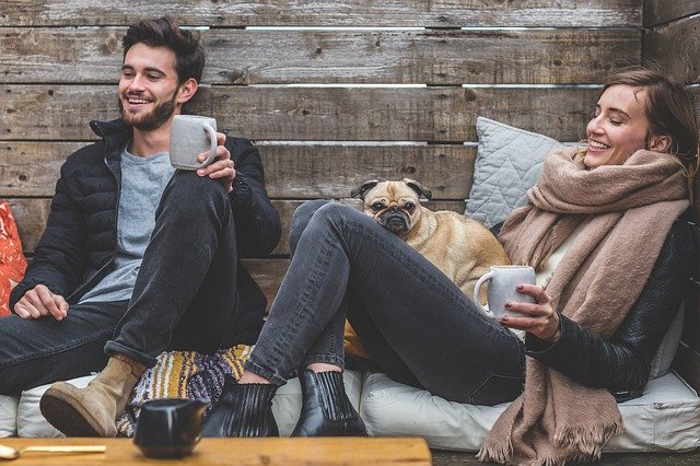 Illustration de l'article : Comment devenir éleveur canin ?