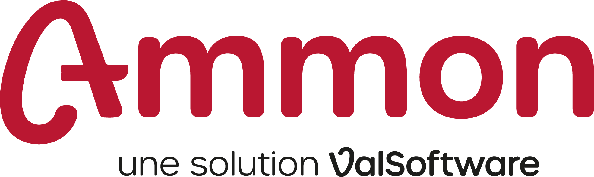 Logo Ammon