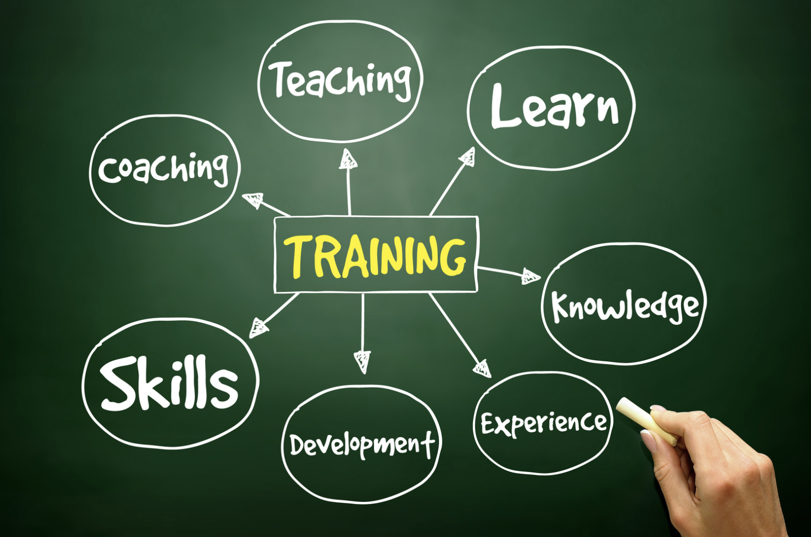 Tendances de la formation en 2024